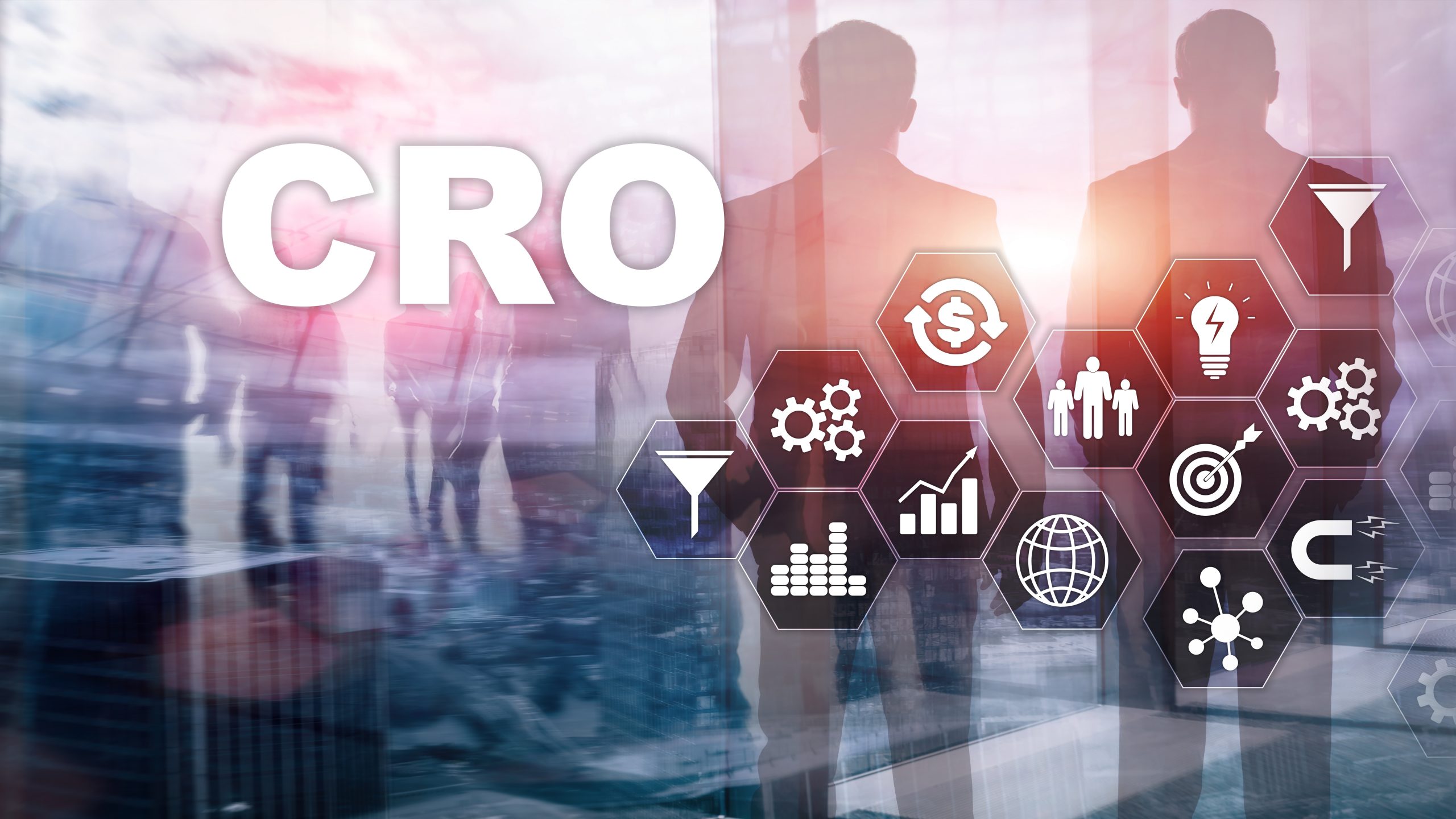 Interim CRO