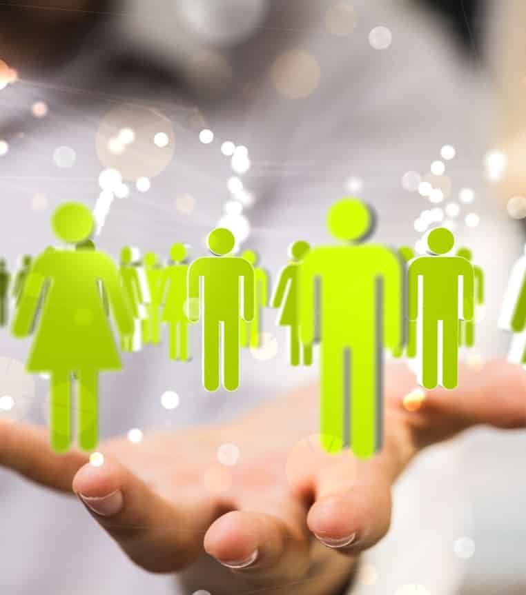 Interim Management