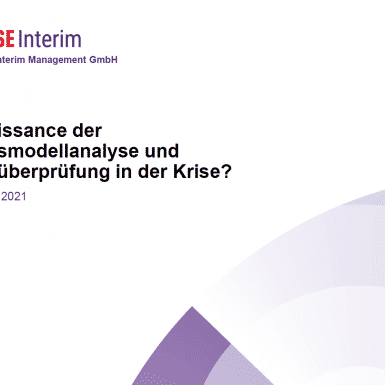 Geschäftsmodellanalyse