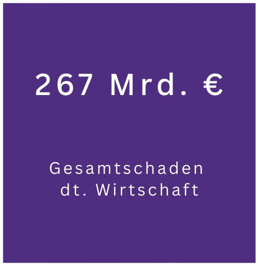 Gesamtschaden der deutschen Wirtschaft